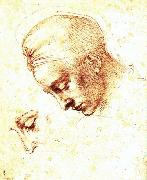 Michelangelo Buonarroti, Study of a Head
